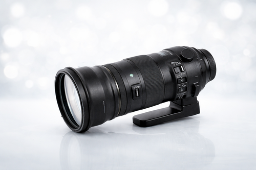 Sigma 150-600mm f/5-6.3 DG DN OS